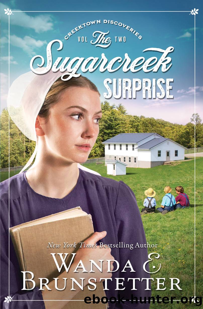The Sugarcreek Surprise by Wanda E. Brunstetter