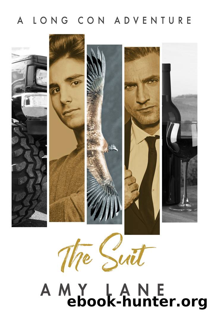 The Suit by Amy Lane