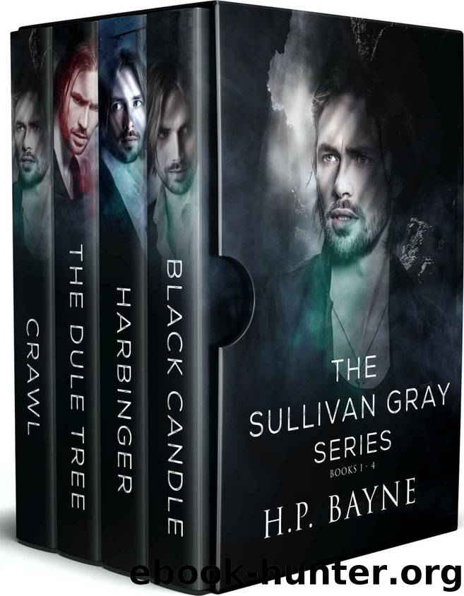 The Sullivan Gray Series Box Set by H P Bayne - free ebooks download