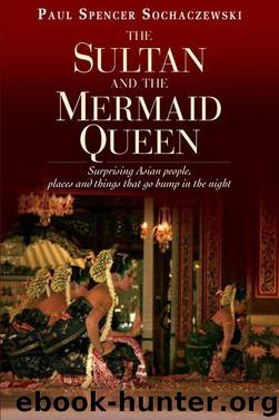 The Sultan and the Mermaid Queen by Paul Sochaczewski