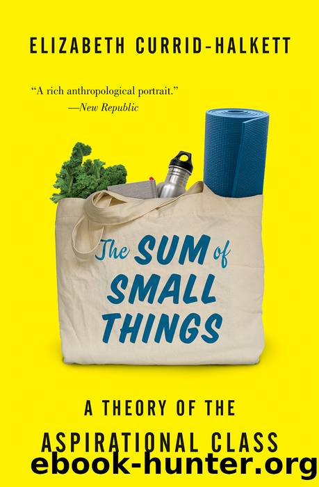 The Sum of Small Things by Elizabeth Currid-Halkett