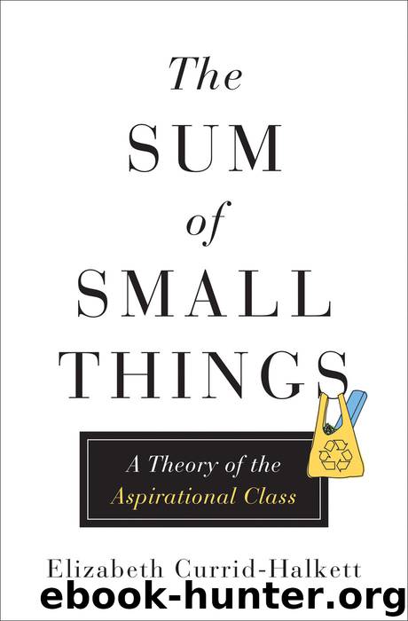 The Sum of Small Things: A Theory of the Aspirational Class by Elizabeth Currid-Halkett