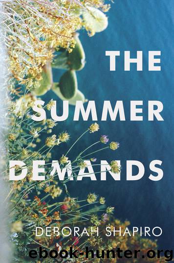 The Summer Demands by Deborah Shapiro