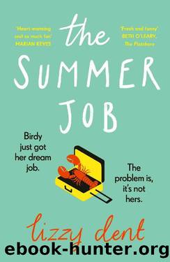 The Summer Job by Lizzy Dent