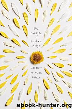 The Summer of Broken Things by Margaret Peterson Haddix