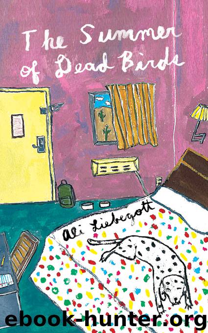 The Summer of Dead Birds by Ali Liebegott