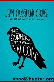 The Summer of the Falcon by Jean Craighead George