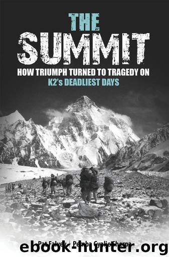 The Summit by Pat Falvey