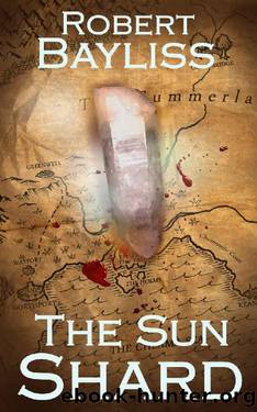 The Sun Shard: Flint & Steel, Fire & Shadow 1 (Flint and Steel, Fire and Shadow.) by Rob Bayliss