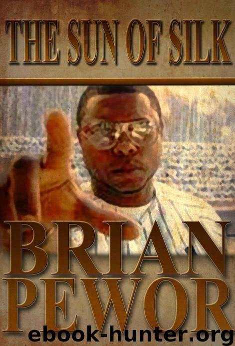 The Sun of Silk by Brian Pewor