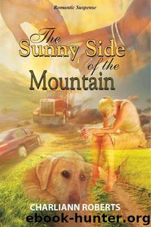 The Sunny Side of the Mountain by Roberts Charliann
