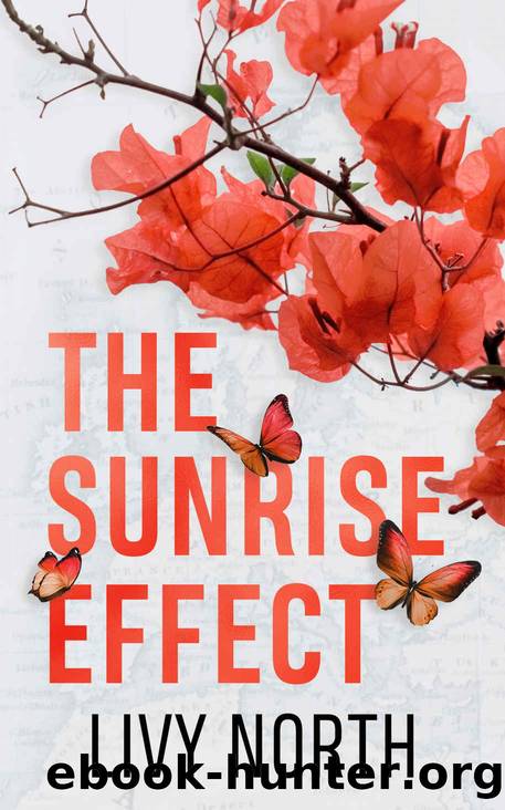 The Sunrise Effect by North Livy