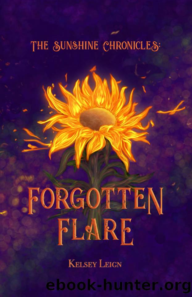 The Sunshine Chronicles: Forgotten Flare by Leign Kelsey