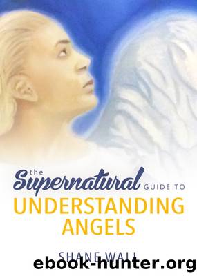 The Supernatural Guide to Understanding Angels by Shane Wall