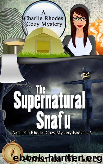 The Supernatural Snafu by Amanda M Lee
