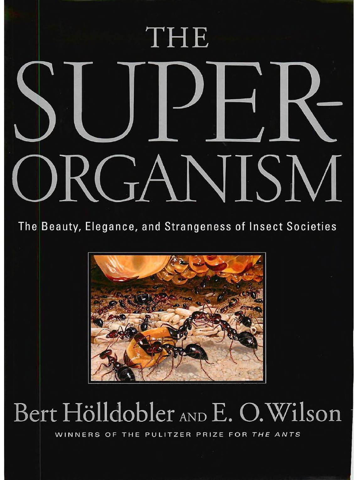 The Superorganism: The Beauty, Elegance, and Strangeness of Insect Societies by Bert Hölldobler Edward O. Wilson