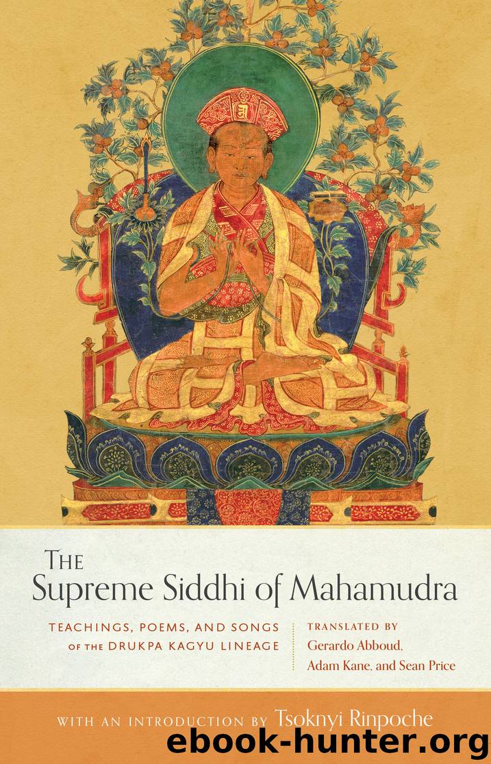 The Supreme Siddhi of Mahamudra by Sean Price