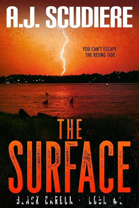 The Surface by A. J. Scudiere