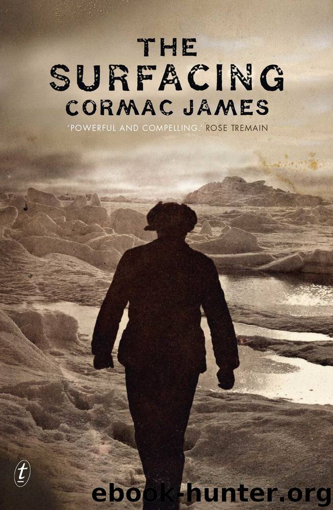 The Surfacing (2014) by Cormac James