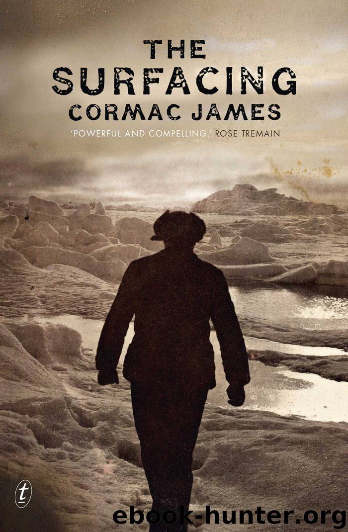 The Surfacing by Cormac James