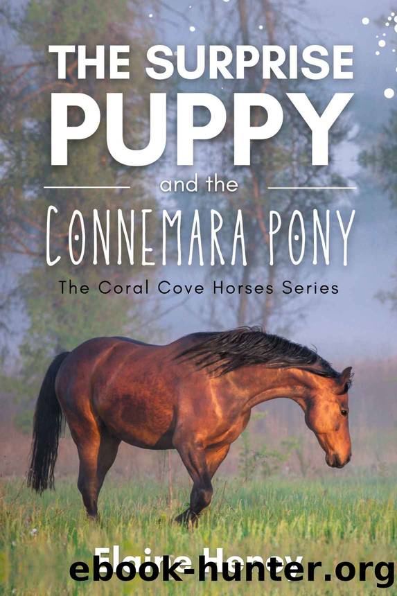 The Surprise Puppy and the Connemara Pony - The Coral Cove Horses Series (Coral Cove Horse Adventures for Girls and Boys Book 3) by Elaine Heney