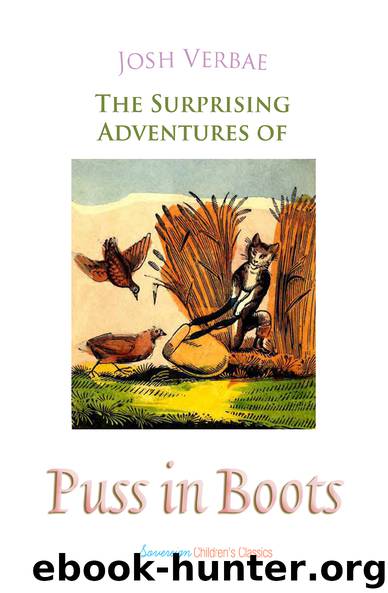 The Surprising Adventures of Puss in Boots by Josh Verbae