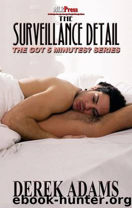 The Surveillance Detail by Derek Adams