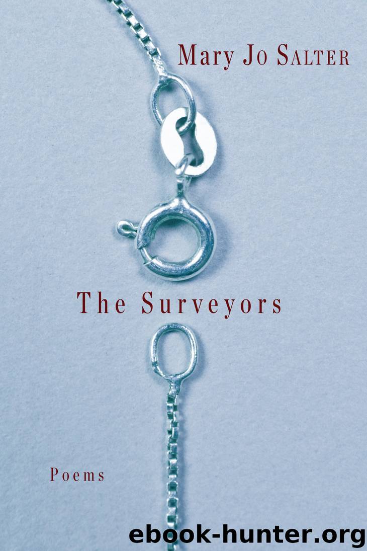 The Surveyors by Mary Jo Salter