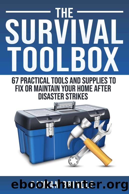 The Survival Toolbox: 67 Practical Tools and Supplies to Fix or Maintain Your Home After Disaster Strikes by Damian Brindle