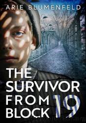 The Survivor From Block 19 by Arie Blumenfeld
