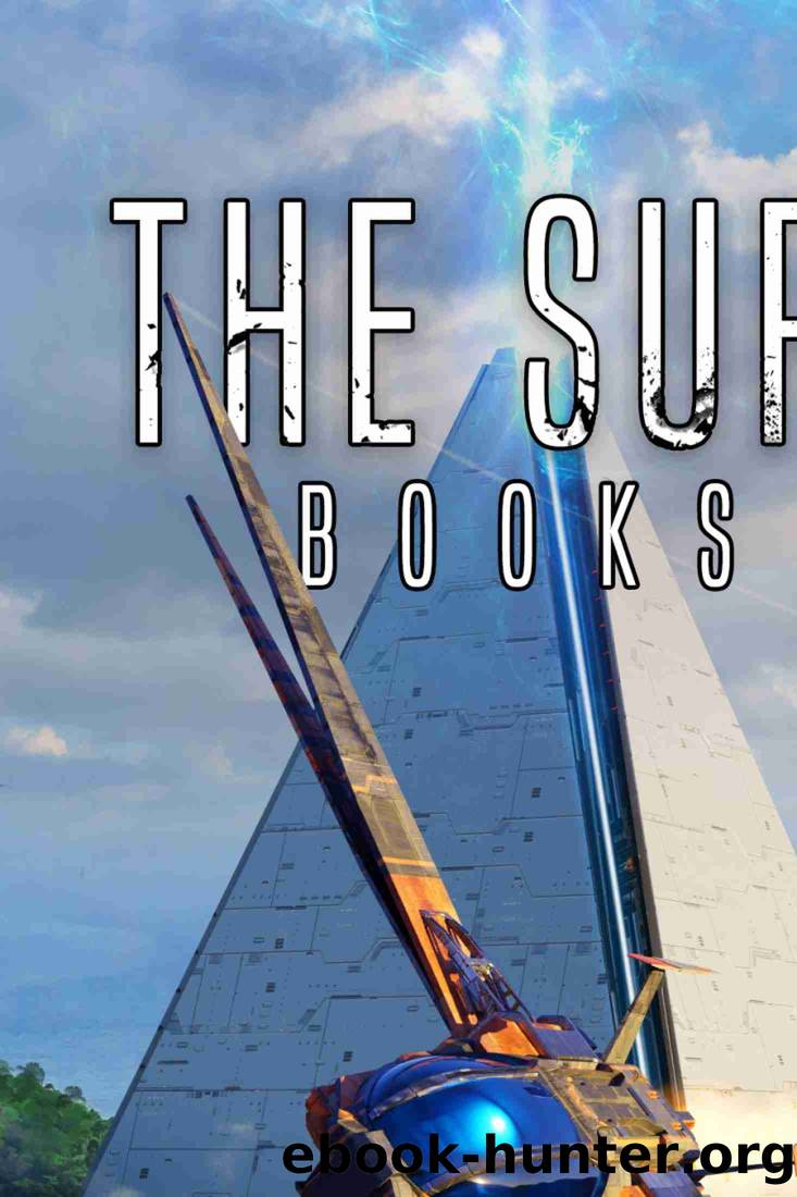 The Survivors (Box Set of Books 19-24) by Nathan Hystad