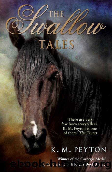 The Swallow Tales by K M Peyton
