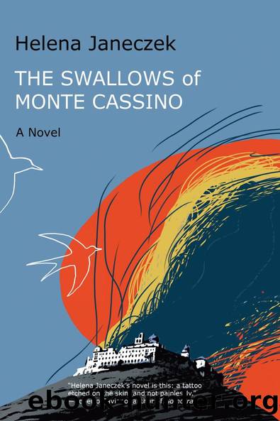The Swallows of Monte Cassino by Helena Janeczek