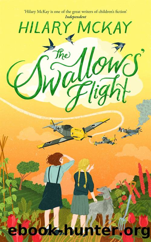 The Swallows' Flight by Hilary McKay