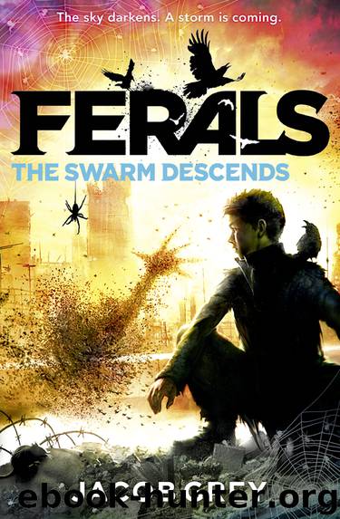 The Swarm Descends by Jacob Grey
