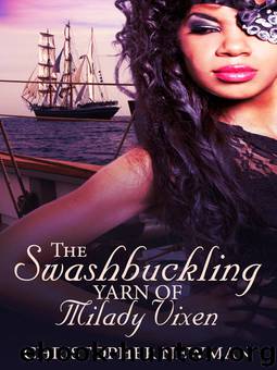 The Swashbuckling Yarn of Milady Vixen by Christopher Newman