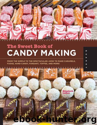 The Sweet Book of Candy Making by Elizabeth LaBau