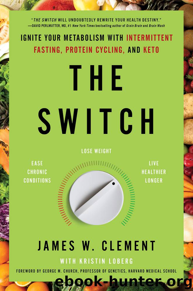 The Switch by James W. Clement
