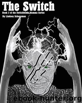 The Switch by Lindsey Schussman