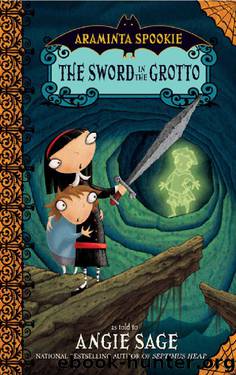 The Sword in the Grotto by Angie Sage & Jimmy Pickering