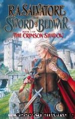 The Sword of Bedwyr by Salvatore R. A