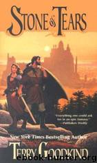 The Sword of Truth, Boxed Set I, Books 1-3: Wizard's First Rule, Blood of the Fold ,Stone of Tears by Terry Goodkind