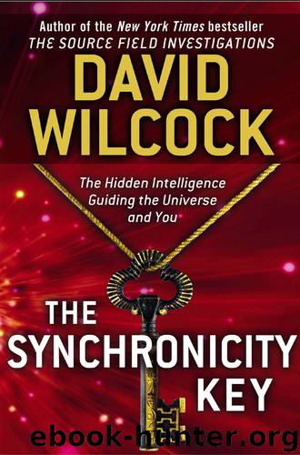 The Synchronicity Key: The Hidden Intelligence Guiding the Universe and You by David Wilcock
