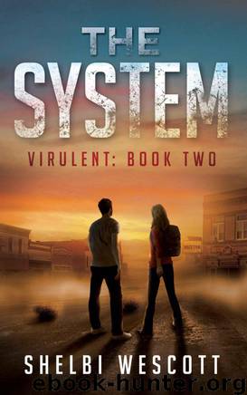 The System by Shelbi Wescott