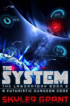 The System by Skyler Grant