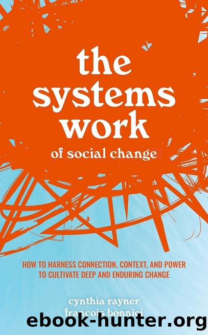 The Systems Work of Social Change by Cynthia Rayner & François Bonnici