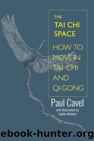 The Tai Chi Space: How to Move in Tai Chi and Qi Gong (A Pictorial Guide) by Paul Cavel