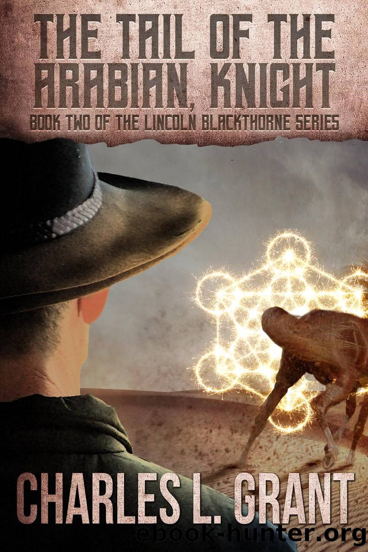The Tail of the Arabian, Knight by Charles L. Grant
