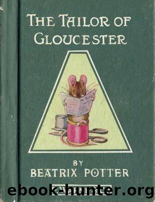 The Tailor of Gloucester by Unknown