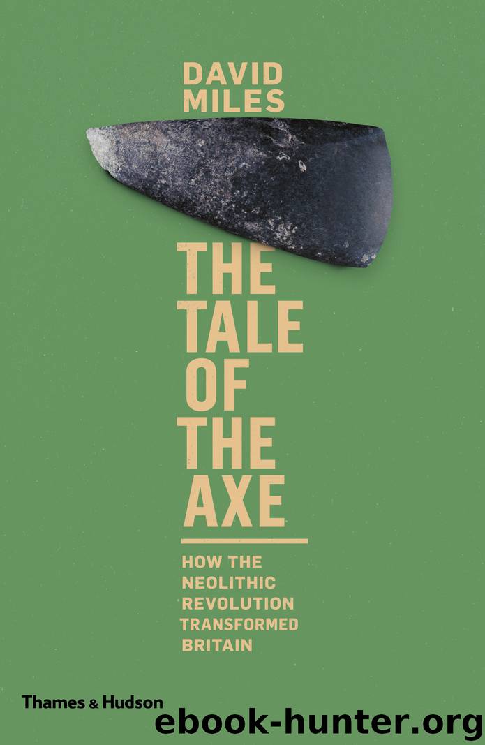 The Tale of the Axe by David Miles